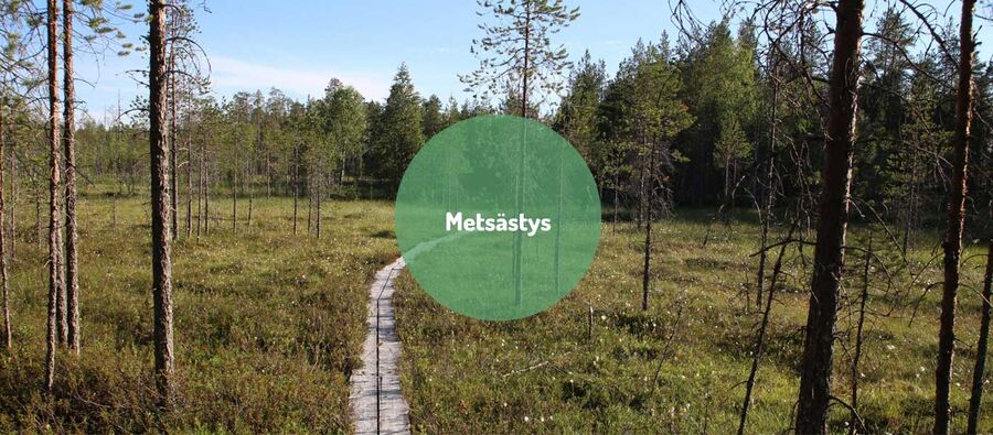 Metsästys