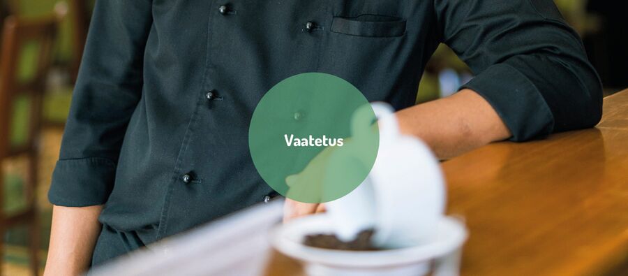 Vaatetus