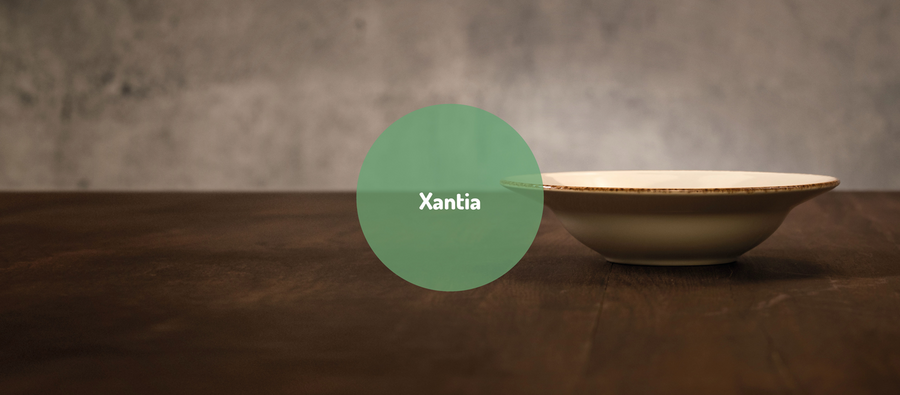 Xantia